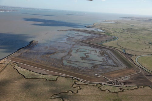 London Gateway - Cooling Marshes
