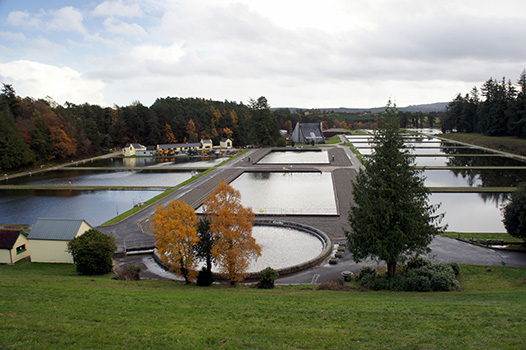 Vartry Water Supply Scheme