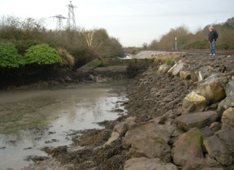 Courtstown Surface Water Drainage Study