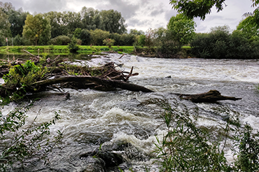 Flood Resilience Planning