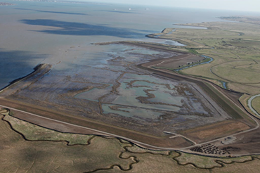 London Gateway - Cooling Marshes