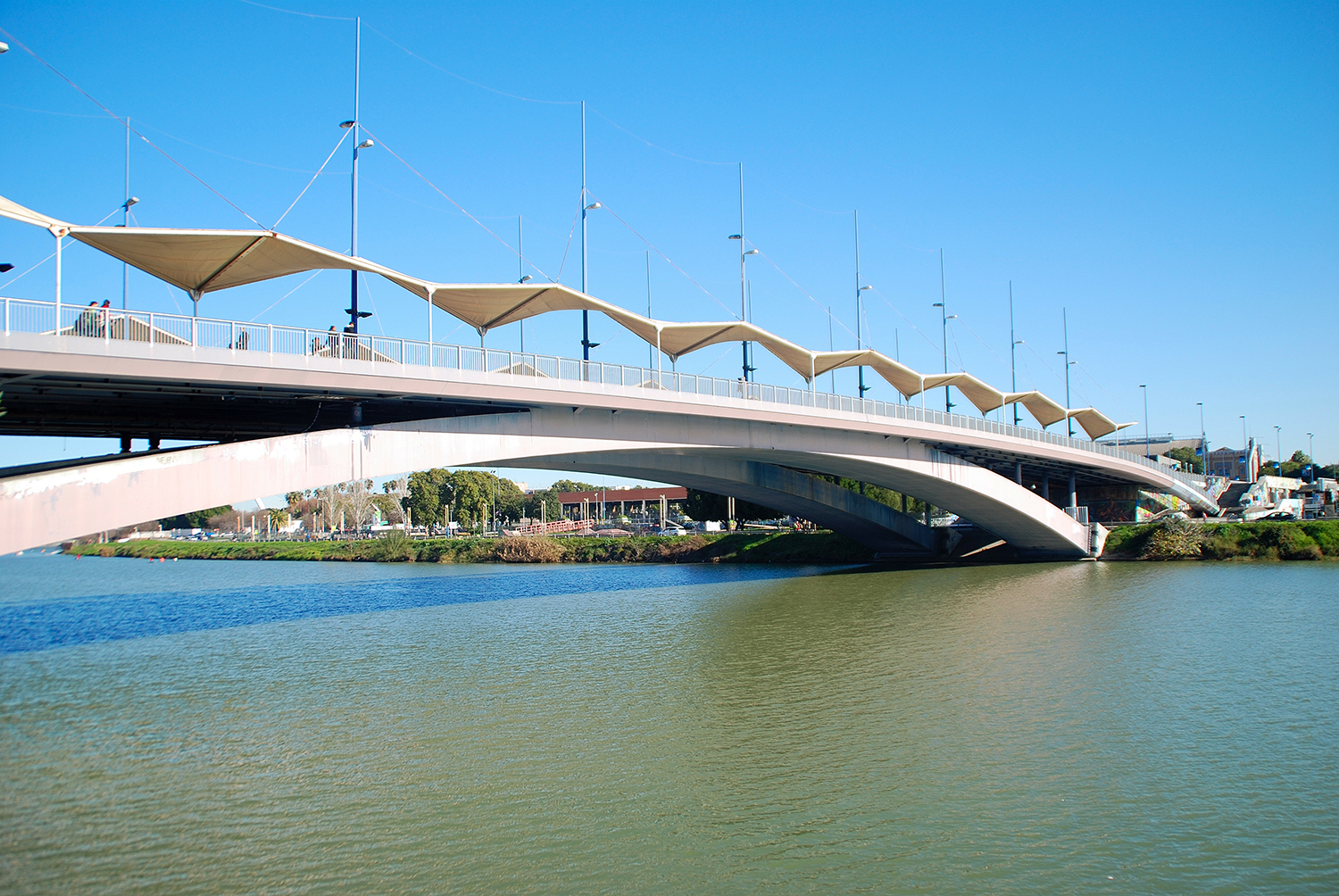 Cristo de la Expiración Bridge, Cachorro Bridge