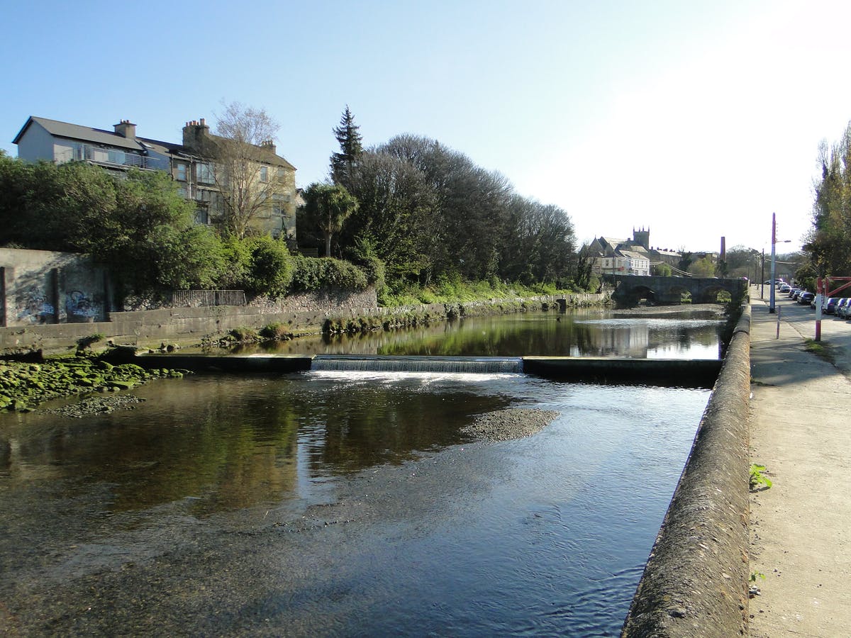 Dargle Flood Defence Scheme